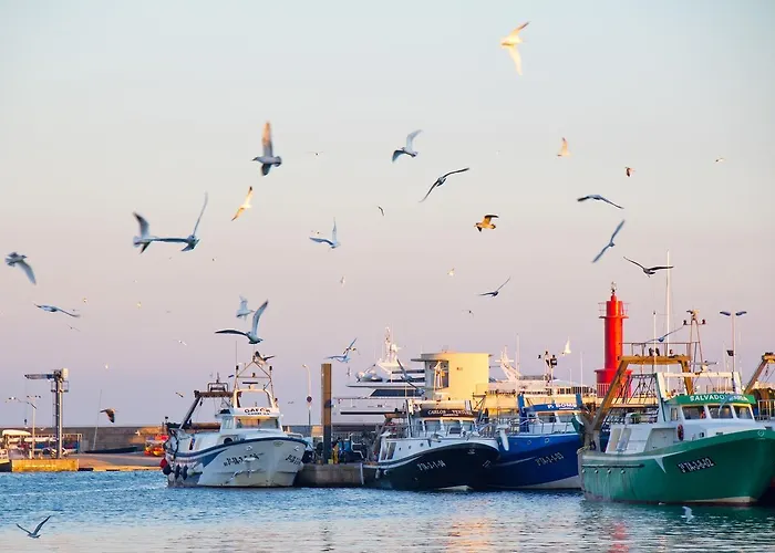 Casa Orquideas 캠브릴스